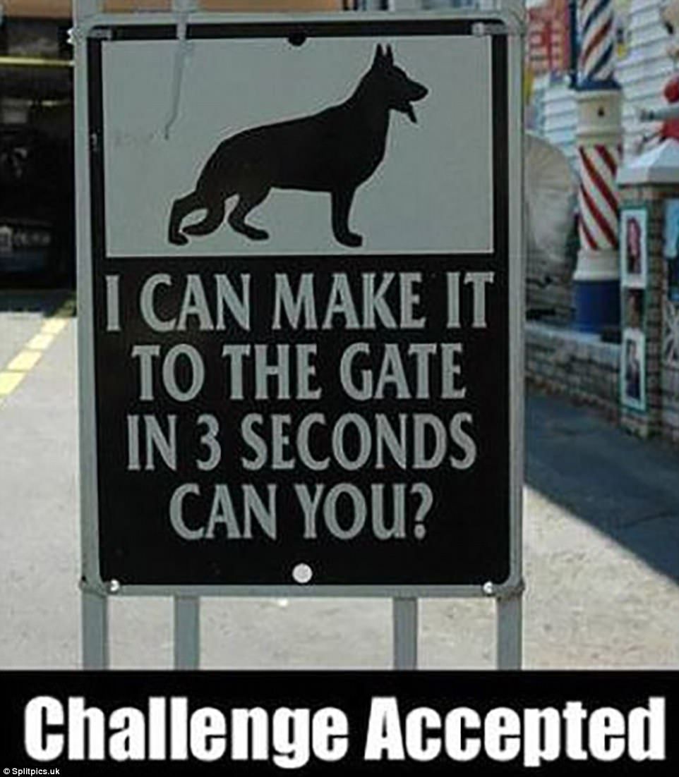 0578-5178381-Now_that_s_a_challenge_This_sign_challenges_people_to_race_the_g-a-54_1513249614327.jpg