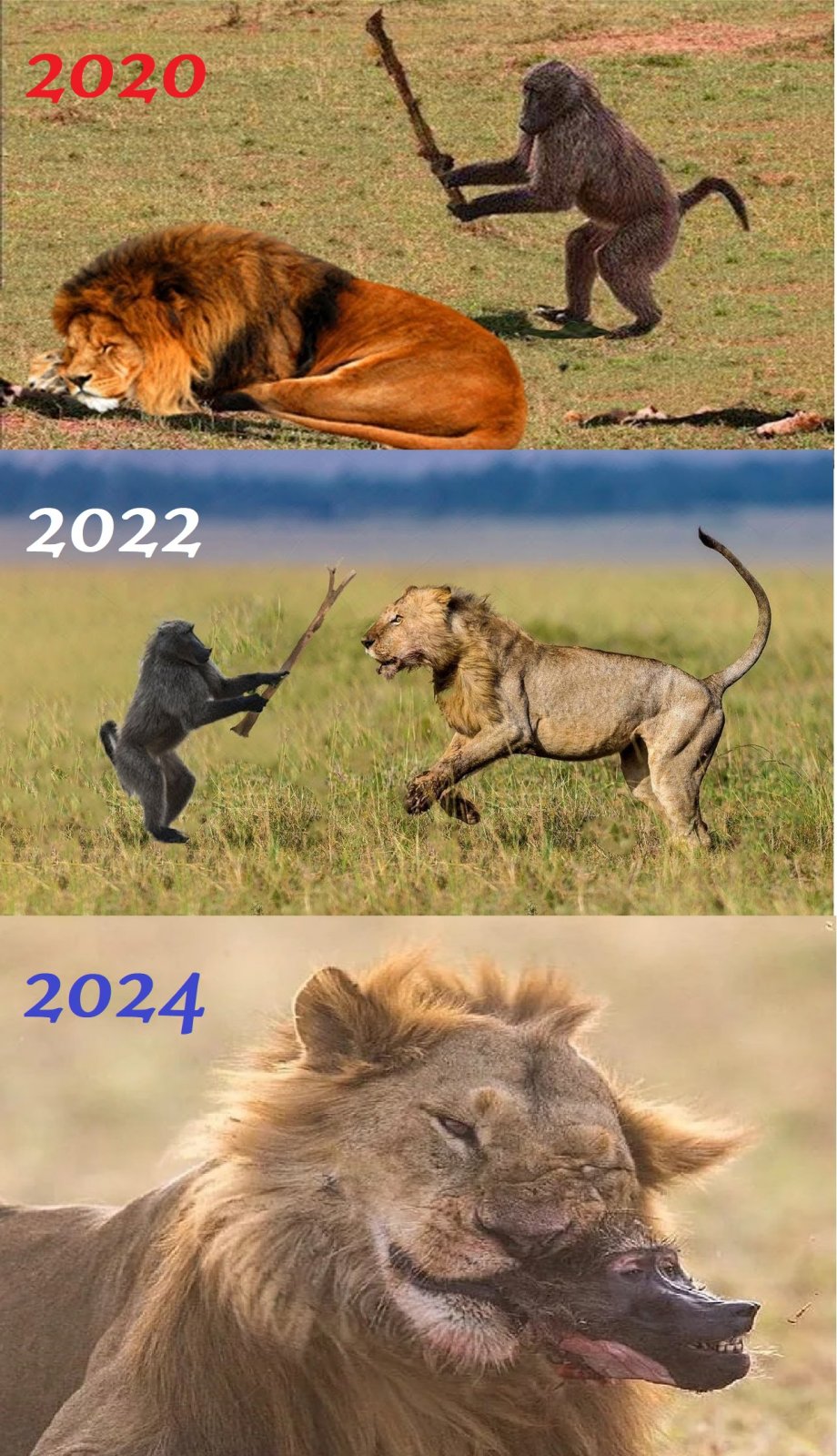 2020-2022-2024 - Lion-Baboon.jpg