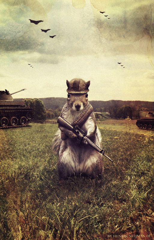 Army_Squirrel_by_Neijman.jpg