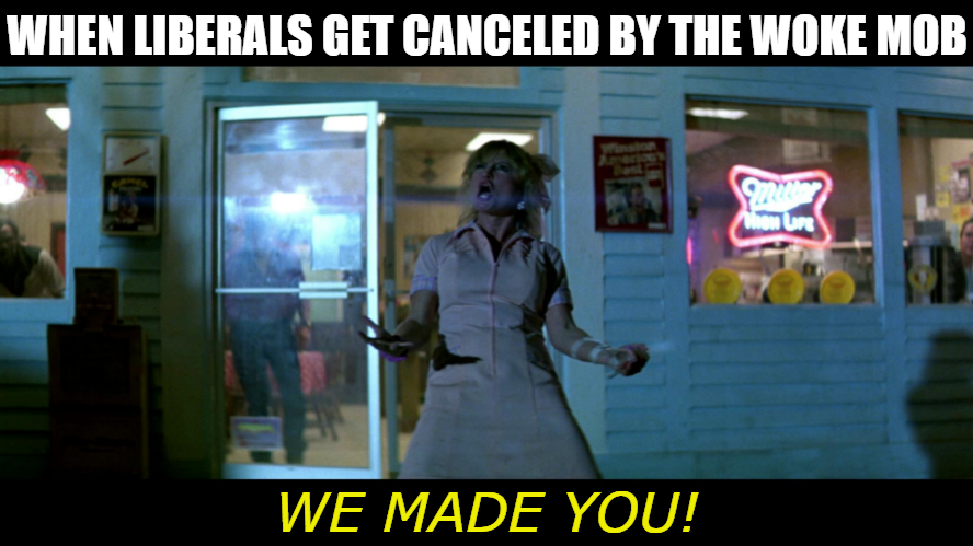 Canceled Liberals - We Made You.png