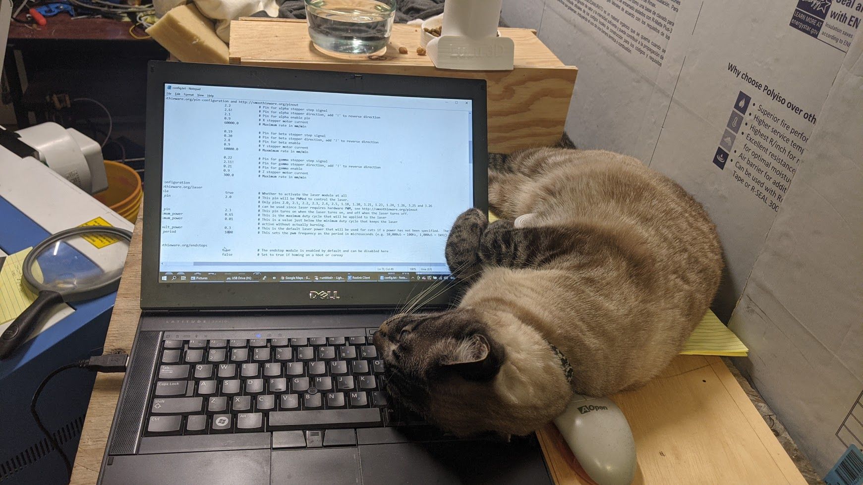 Cat on the laptop.jpg