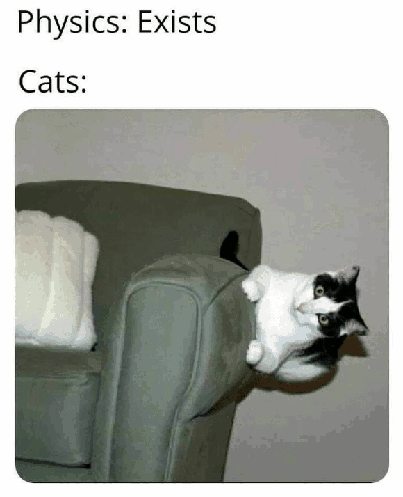 cat-physics-exists-cats.png
