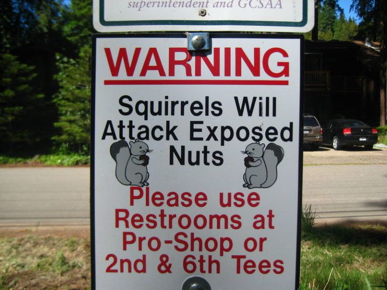 Clever-signs-2-768x576.jpg