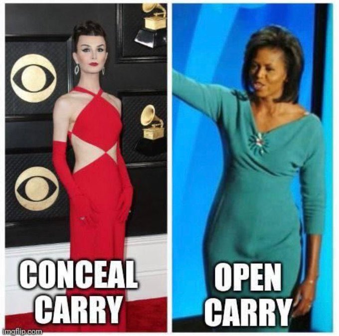 Conceal vs Open Carry.jpeg