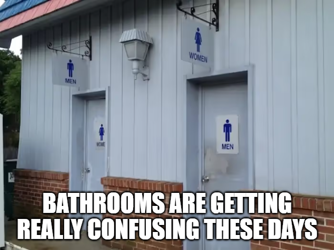 Confusing Bathrooms.png
