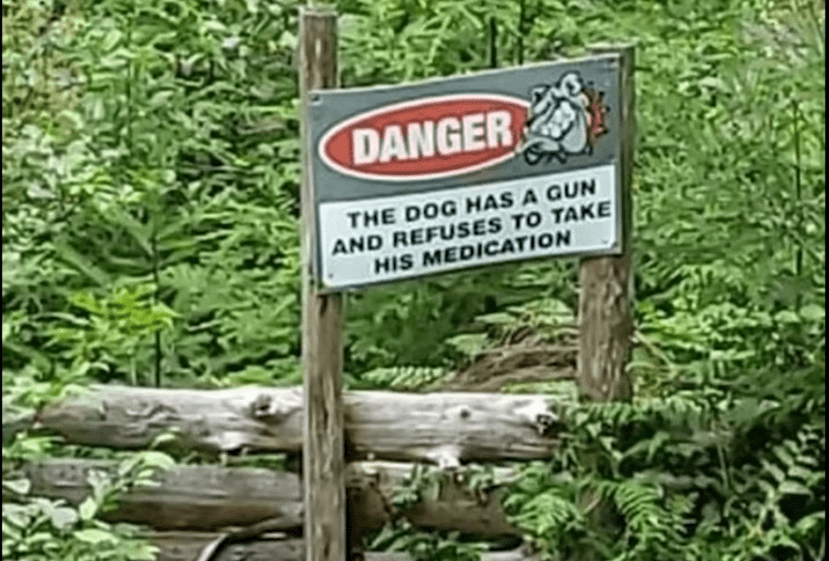 dog gun.PNG