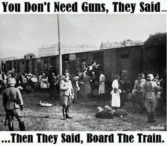 Dont Need Guns They Said.jpg