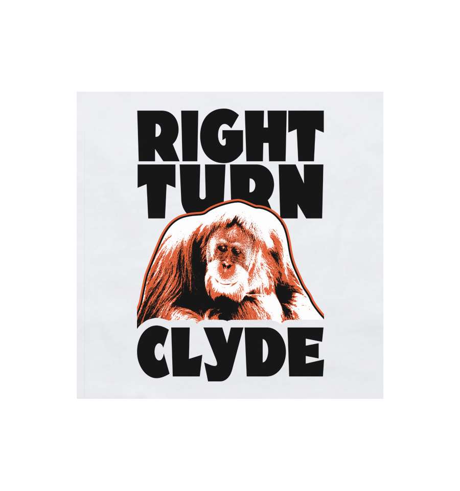 every-which-way-but-loose-baby-grow-bib-right-turn-clyde.jpg