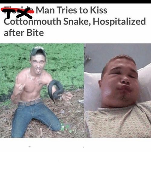 florida-man-tries-to-kiss-cottonmouth-snake-hospitalized-after-bite-27005454_LI.jpg