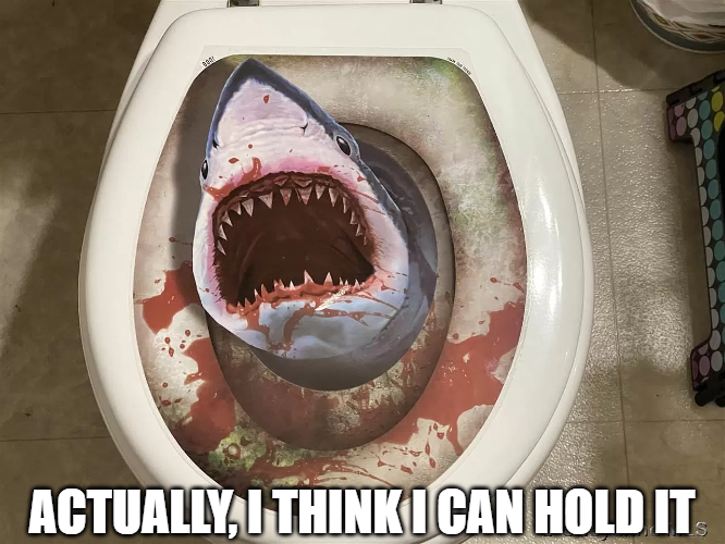 Hold It Toilet.png