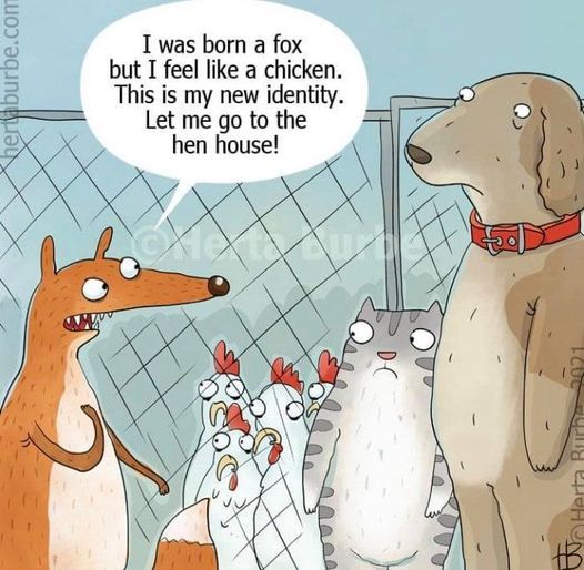 Identity fox in the hen house.jpg