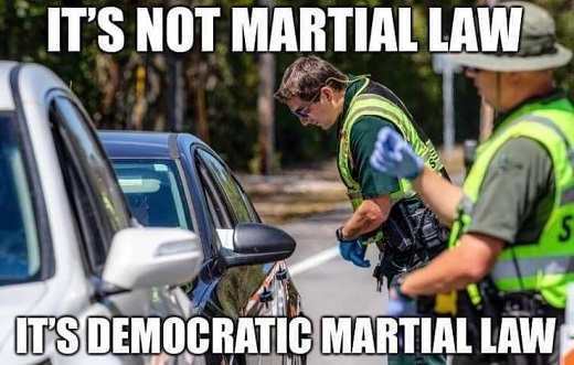 its-not-martial-law-its-democratic-martial-law-cops-enforcing-corona-quarantine.jpg