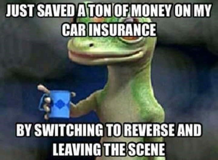 just-saved-ton-money-on-my-insurance-car-by-switching-reverse-and-leaving-scene.jpeg