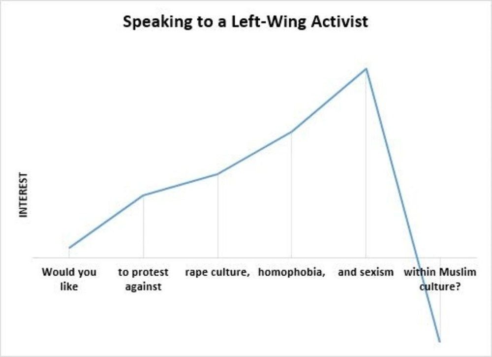 leftwingactivism.jpg