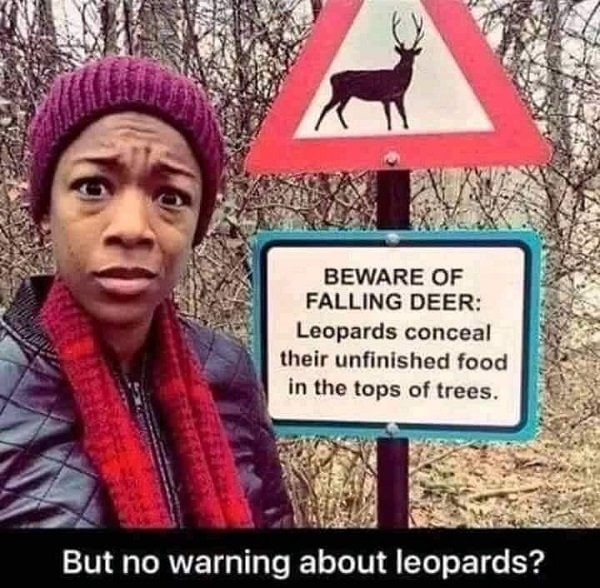 leopards.png