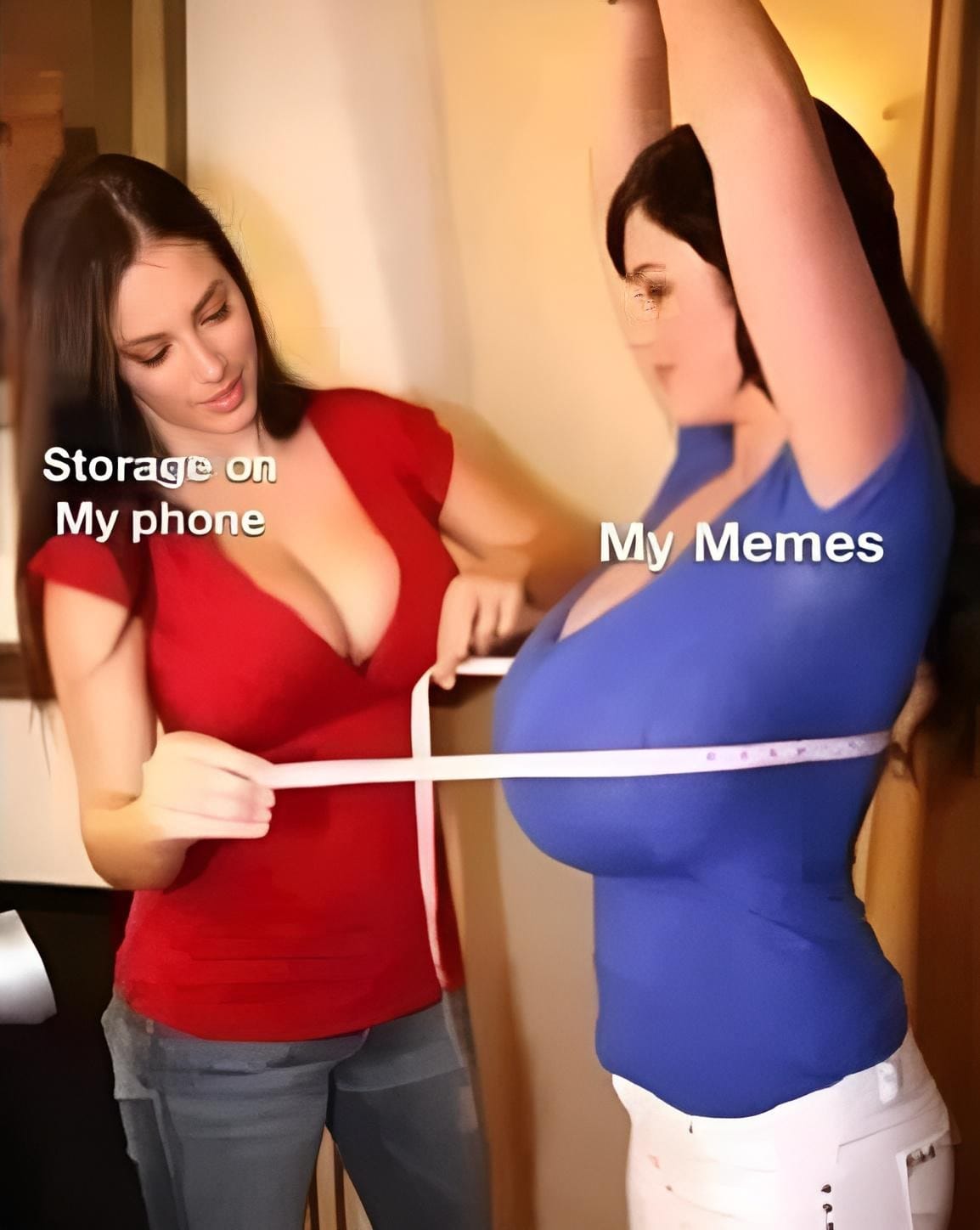 Meme storage.jpg