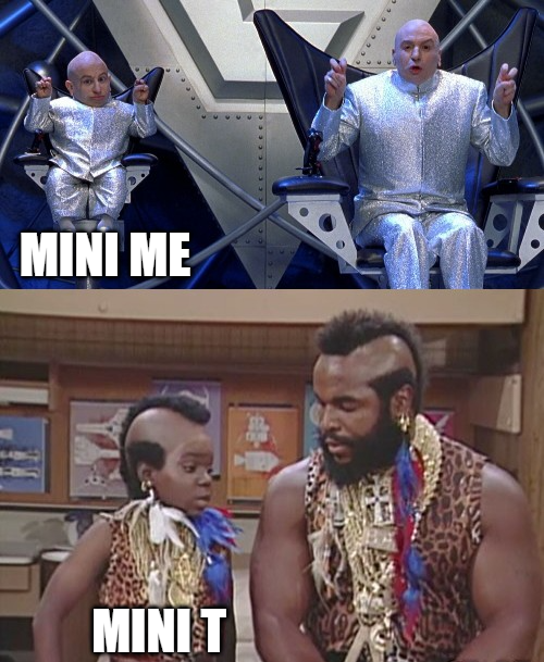 Mini Me Mini T.png