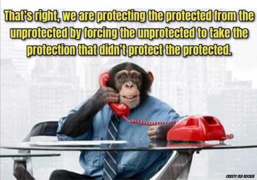 monkey-protecting-from-unprotected-forcing (1).jpg