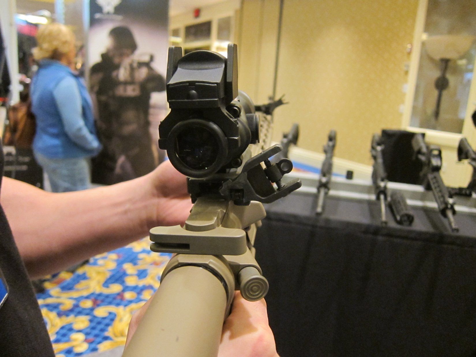 n_Sights_for_Tactical_AR-15_Rifle_Carbine_SBR_Sub-Carbines_SHOT_Show_2012_DefenseReview.com_DR_5.jpg