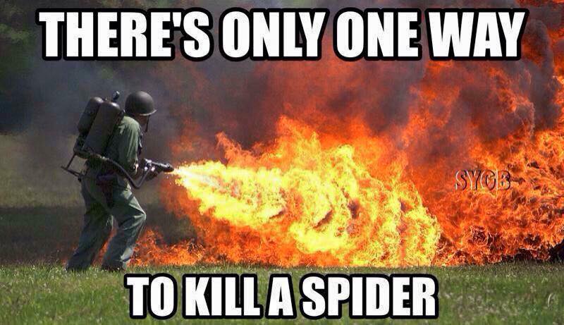 only one way spider.jpg