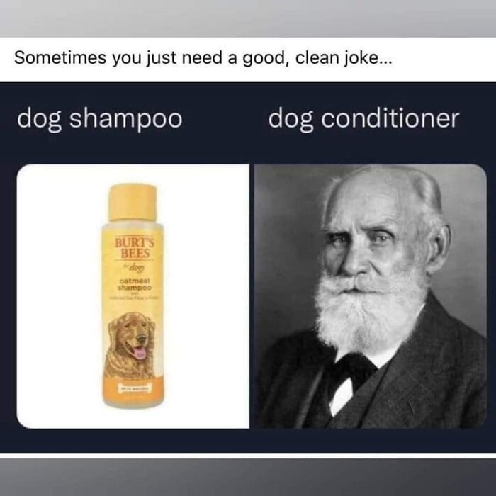 pets 0107 b dog shampoo.jpg