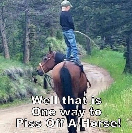 PO a Horse.jpg