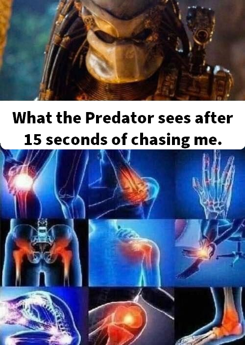 Predator Sees.png