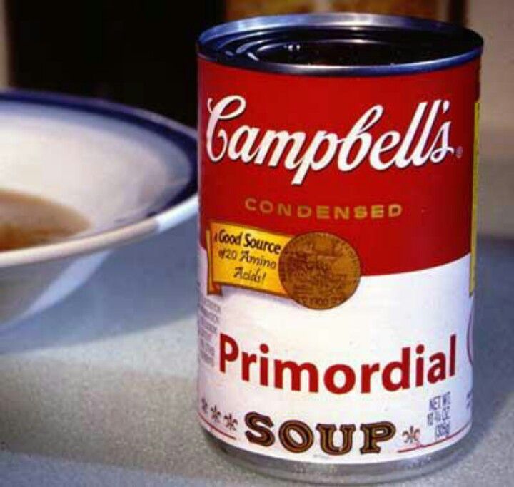 primordial soup.jpg