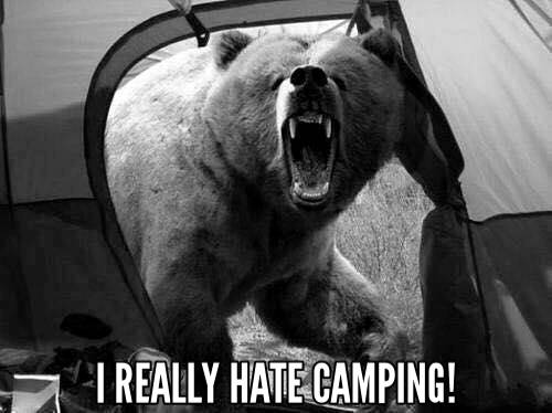 Really hate camping.jpg