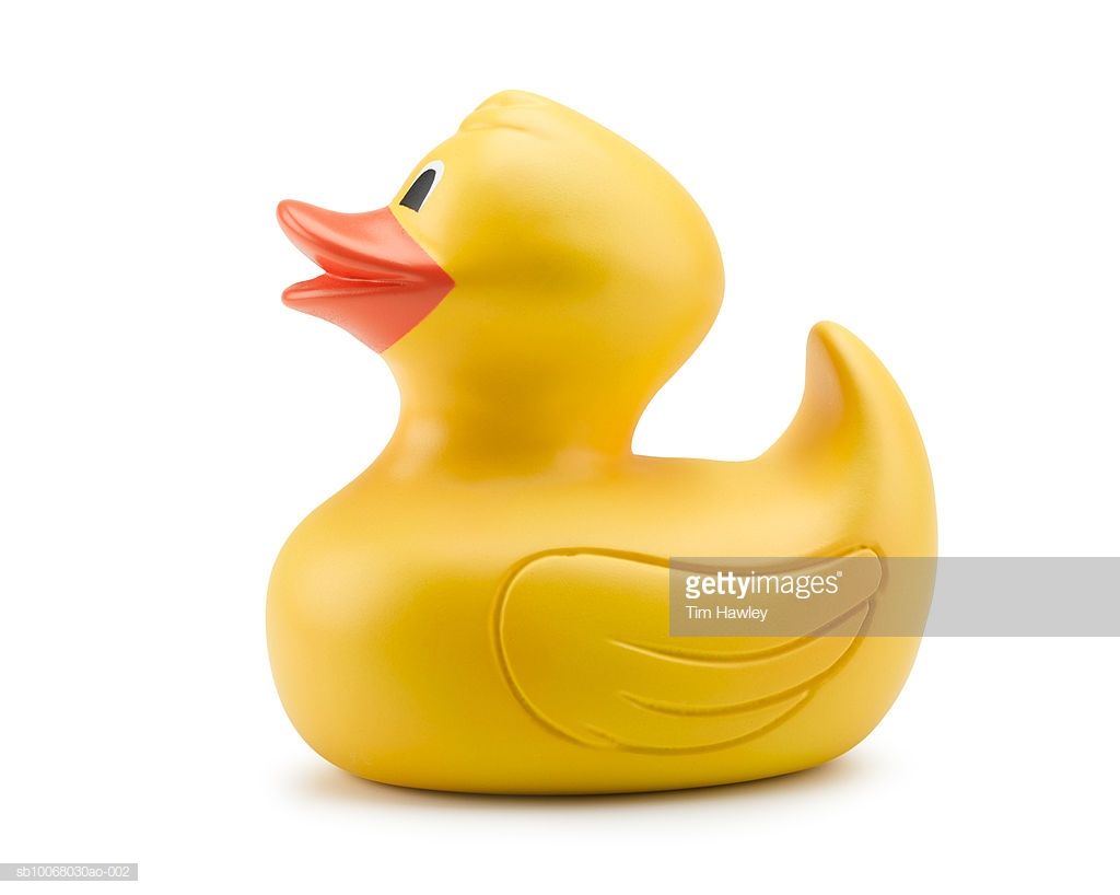 rubber-duck-against-white-background-closeup-picture-idsb10068030ao-002.jpg