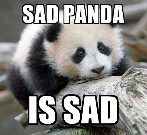 sad-panda-is-sad.jpg