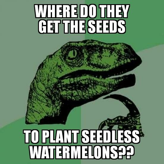 seedless.jpg