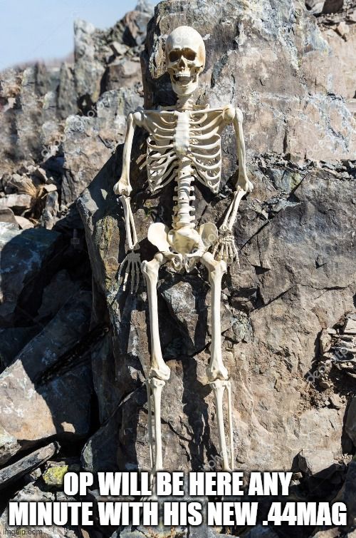 skeleton w 44mag.jpg