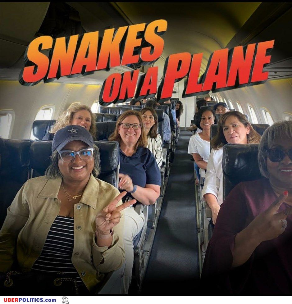 snakes-on-a-plane.jpg