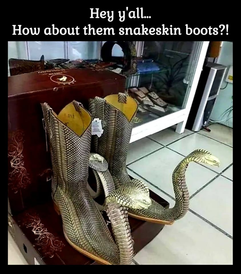 snakeskin boots.jpg