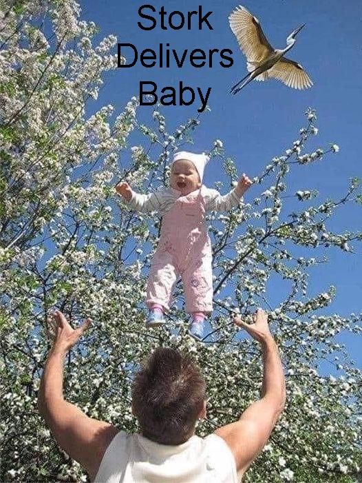 stork delivers baby.jpg