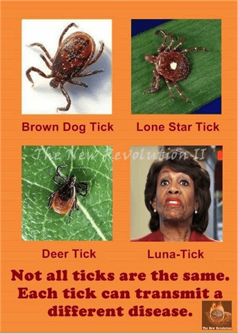 tick (Small).png