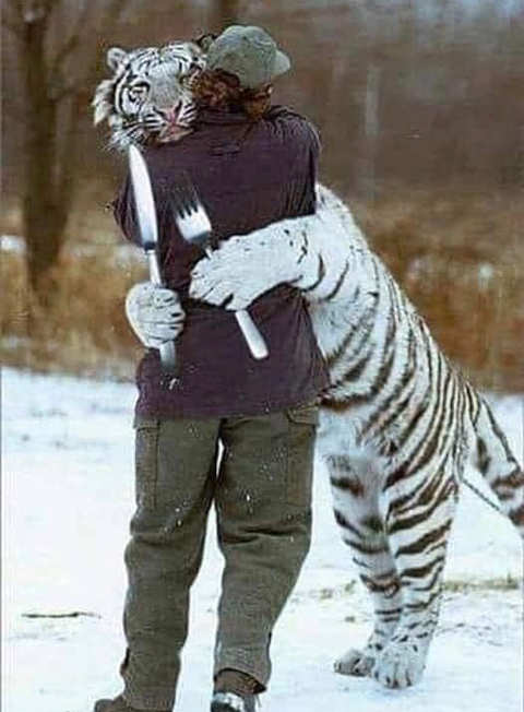 tiger-hug-person-knife-fork.jpg