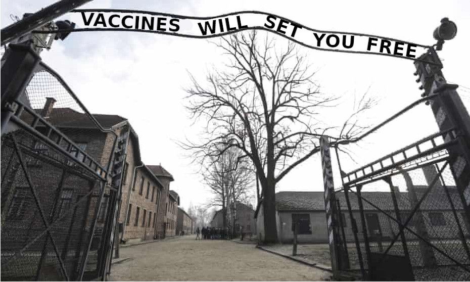 Vaccines Will Set You Free.jpg