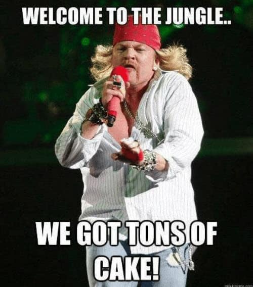 welcome-to-the-jungle-meme.jpg