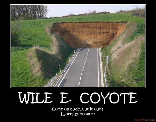 wile-e-coyote-wile-coyote-demotivational-poster-1278670581.jpg