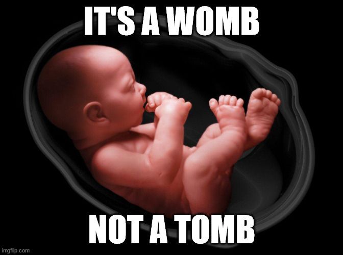 Womb Not Tomb.jpg