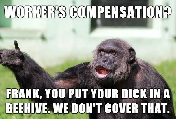 workers-compensation-damnit-frank-monkey-meme.jpg