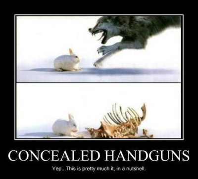 Concealed Handguns.jpeg