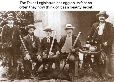 Texas Legislature USED.jpg