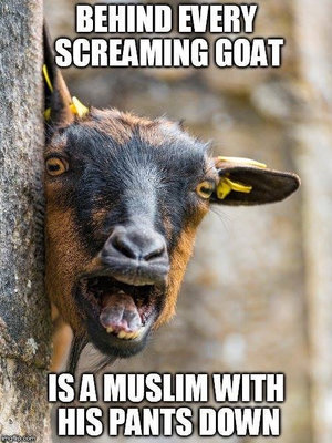 Screaming Goat USED.jpeg