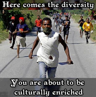 Diversity Coming USED.jpeg
