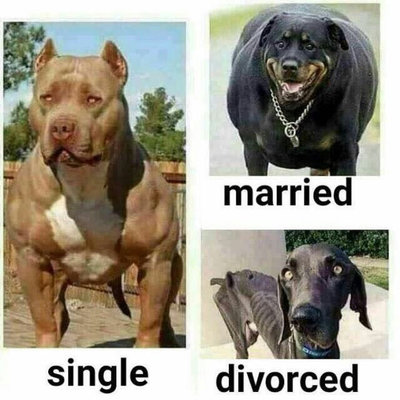 Single Married Divorced.jpeg