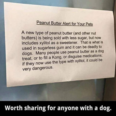 Dog Warning.jpeg
