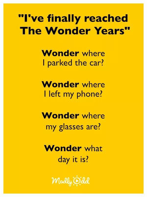Wonder Years.jpeg